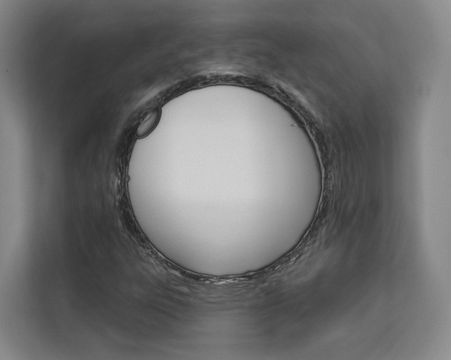 X0000113081303200908280939