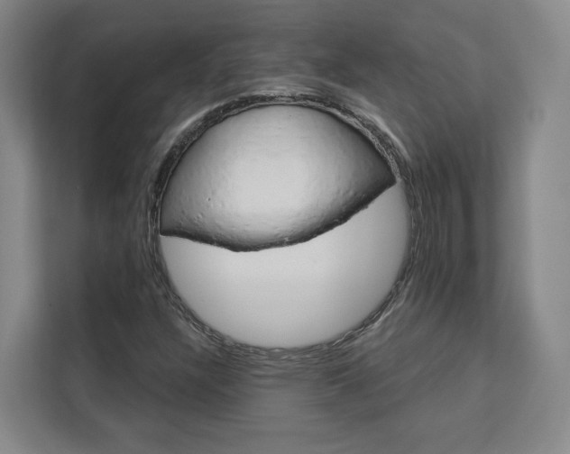 X0000113081304200908280939