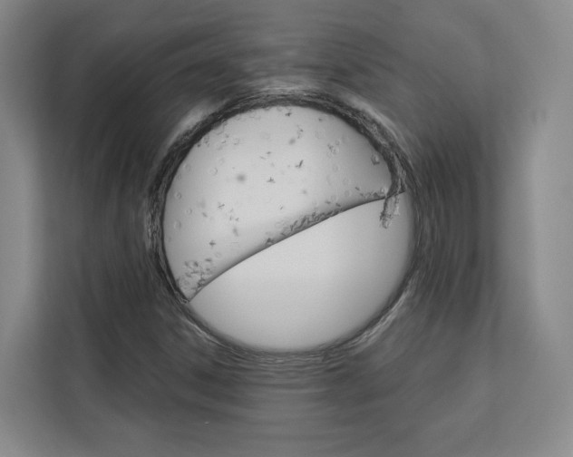 X0000113081306200908280939
