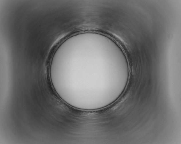 X0000113081309200908280939