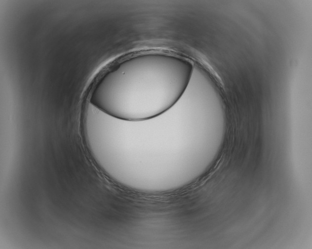 X0000113081312200908280939