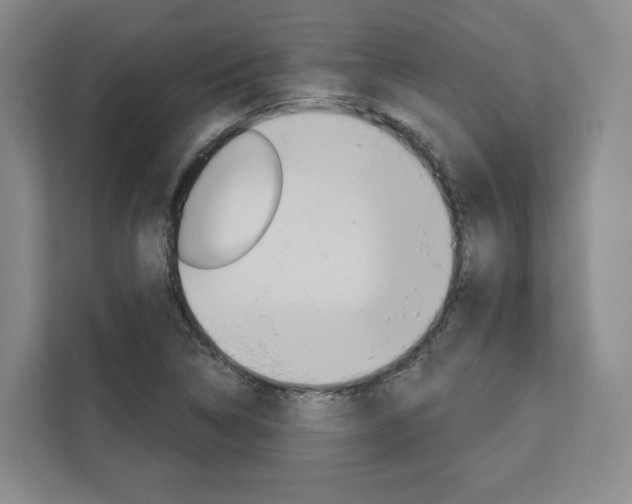 X0000113081314200908280939