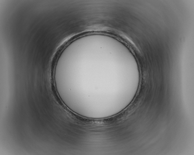 X0000113081315200908280939