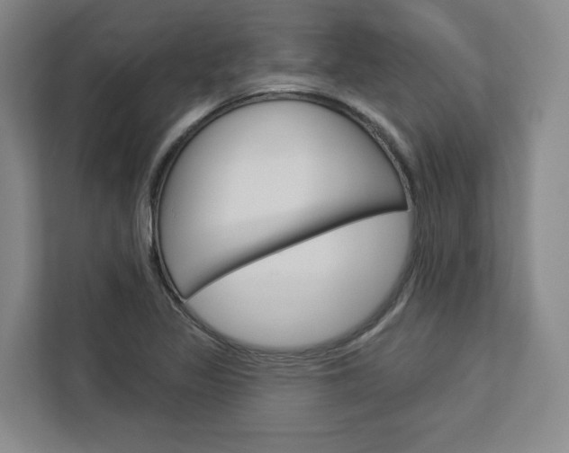 X0000113081317200908280939
