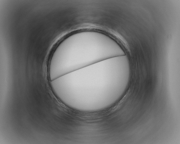 X0000113081318200908280939