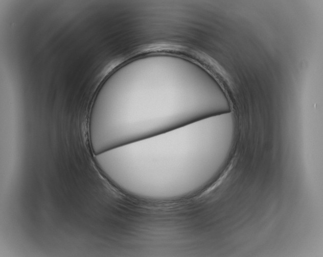 X0000113081321200908280939