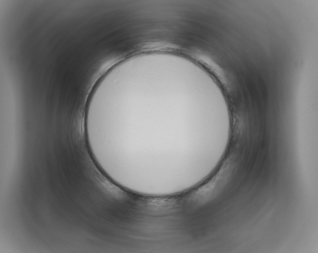 X0000113081322200908280939