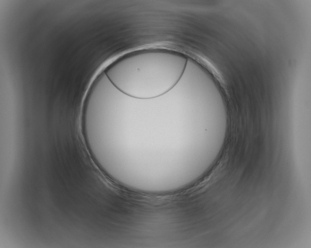 X0000113081324200908280939