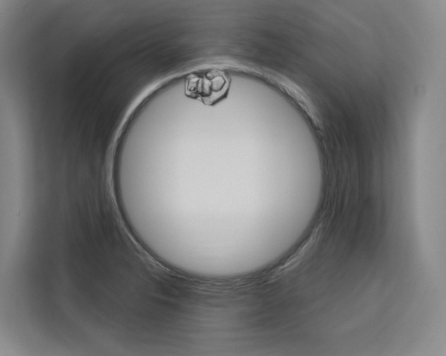 X0000113081326200908280939