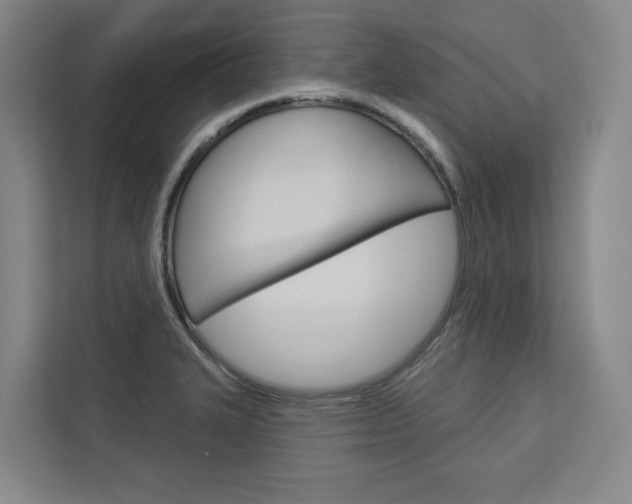 X0000113081327200908280939