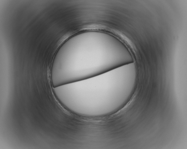 X0000113081329200908280939