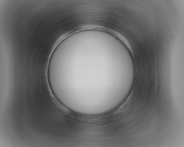 X0000113081330200908280939