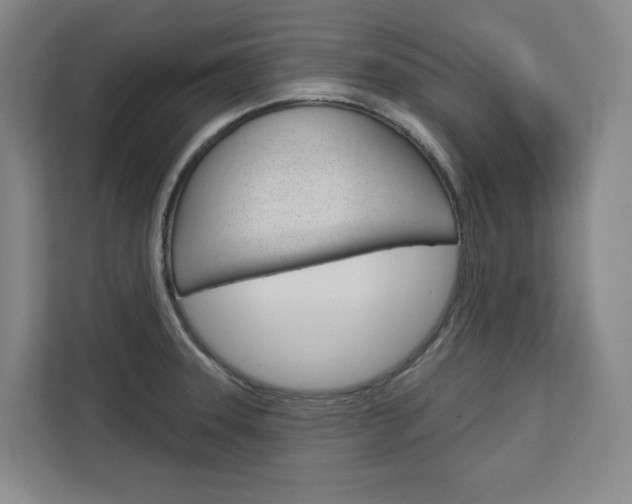 X0000113081331200908280939