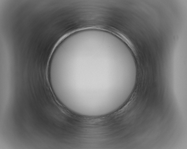 X0000113081332200908280939