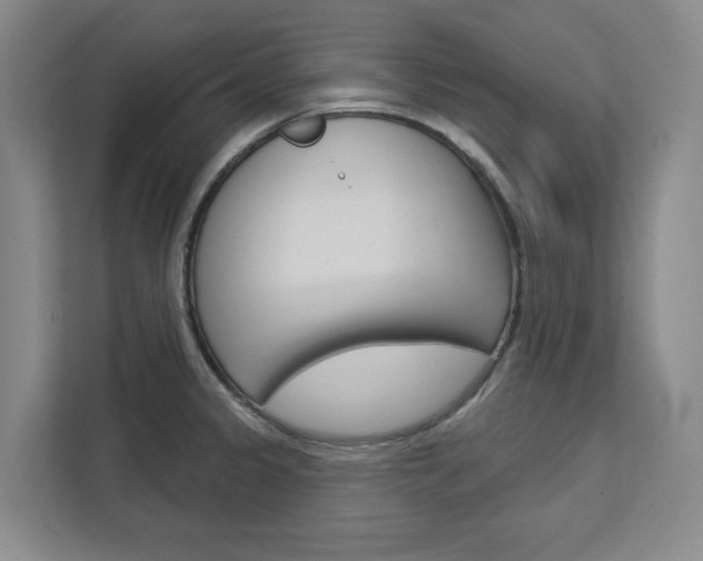 X0000113081333200908280939