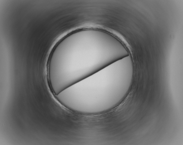X0000113081335200908280939