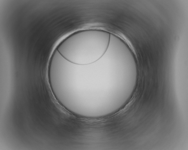 X0000113081336200908280939
