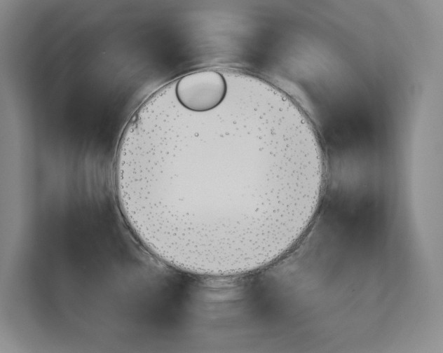 X0000113081338200908280939