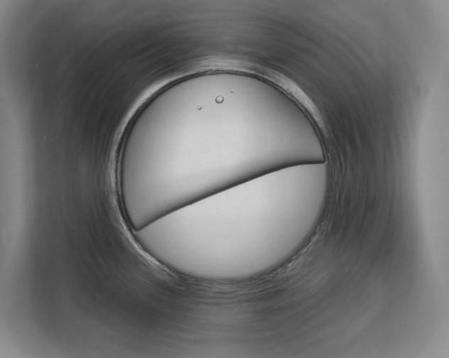 X0000113081339200908280939