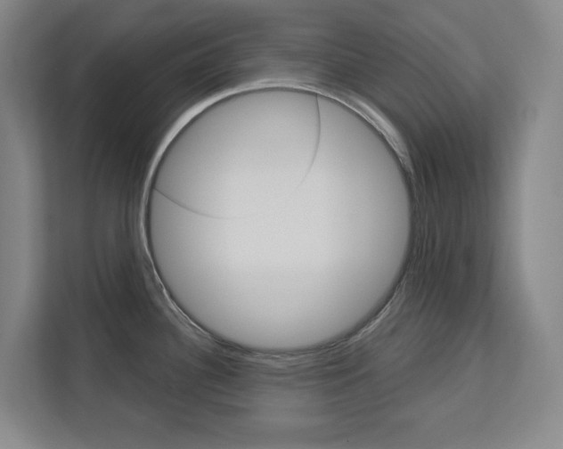 X0000113081340200908280939