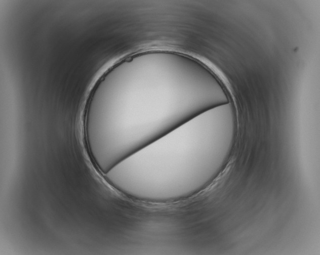 X0000113081341200908280939