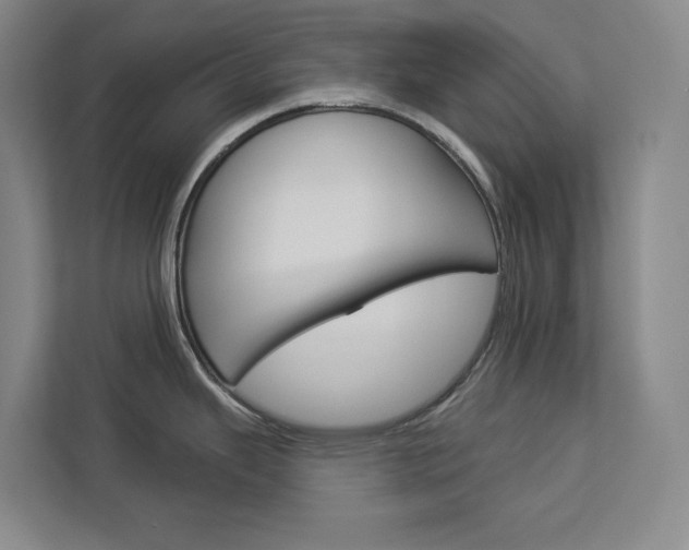 X0000113081343200908280939