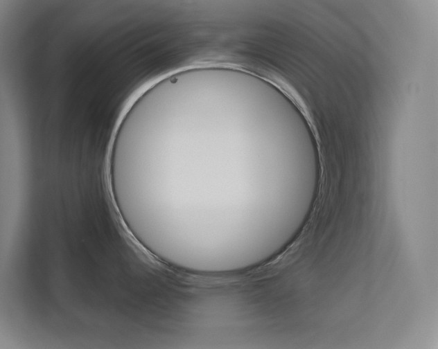 X0000113081344200908280940