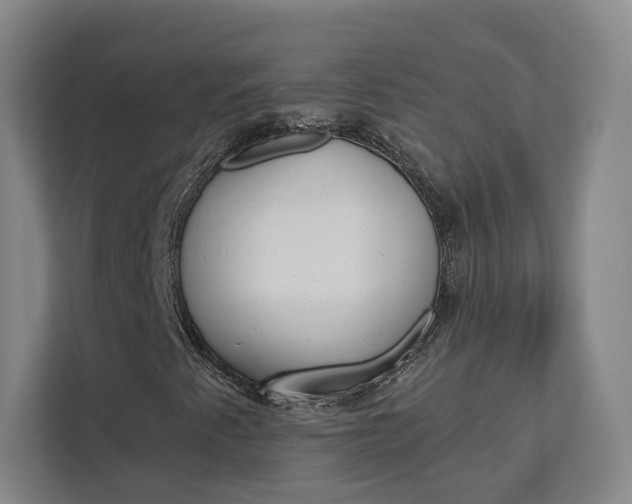 X0000113081345200908280939