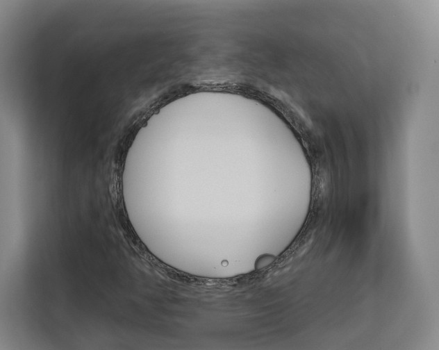X0000113081350200908280939