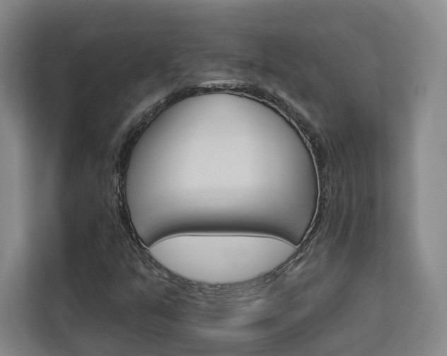 X0000113081351200908280939