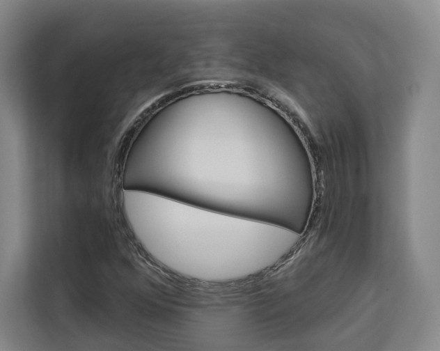 X0000113081352200908280939