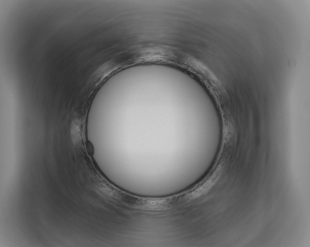 X0000113081353200908280939
