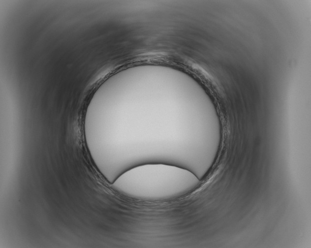 X0000113081354200908280939