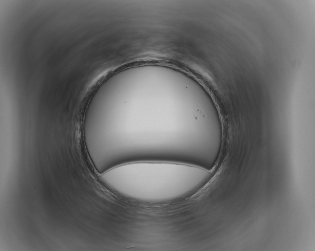 X0000113081355200908280939