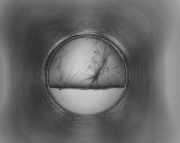 X0000113081356200908280939