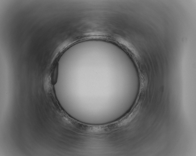 X0000113081357200908280939