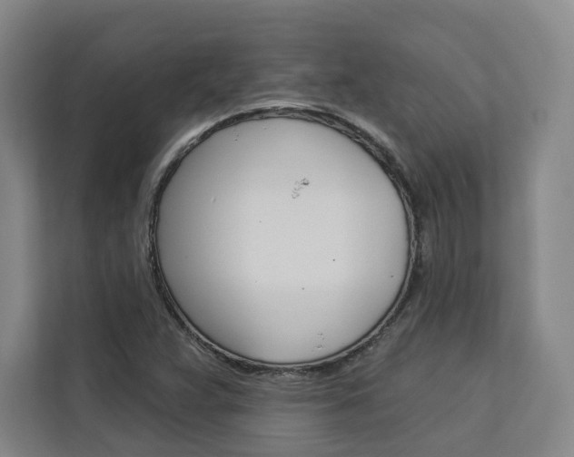 X0000113081359200908280939