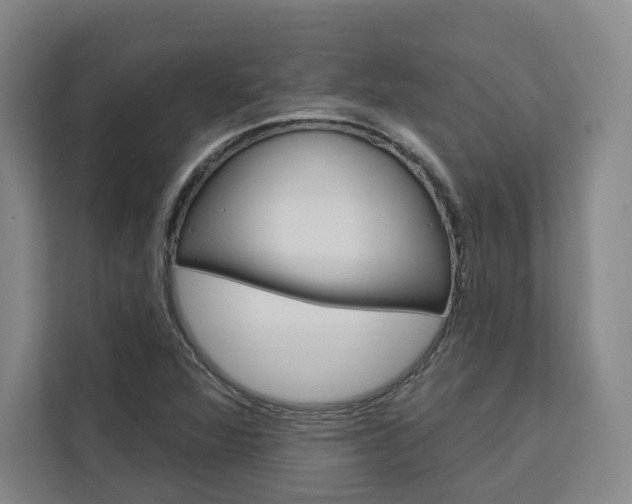 X0000113081360200908280939