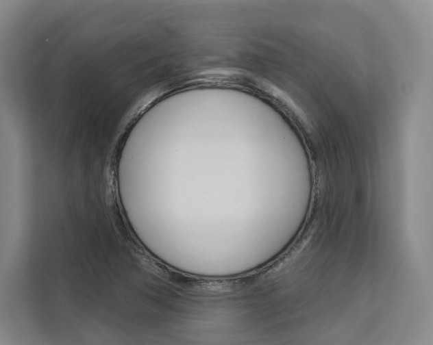 X0000113081362200908280939