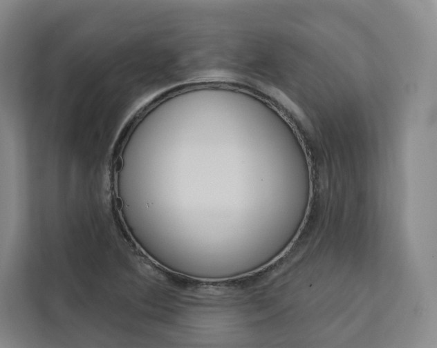 X0000113081364200908280939