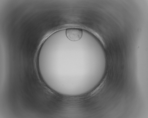 X0000113081365200908280939