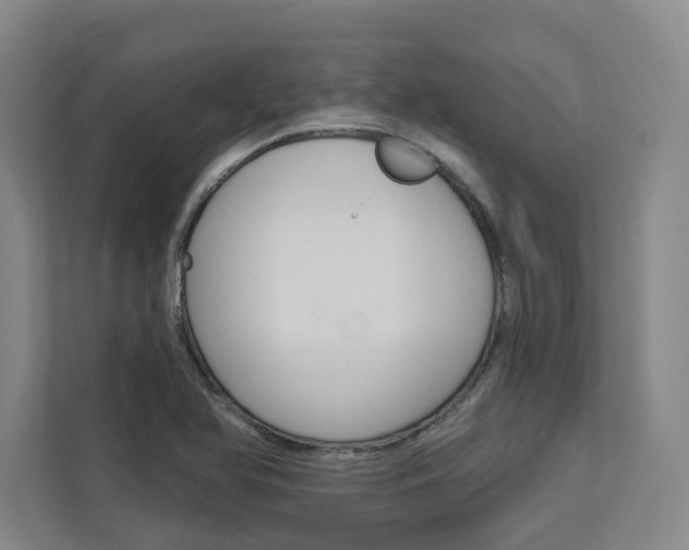 X0000113081366200908280939