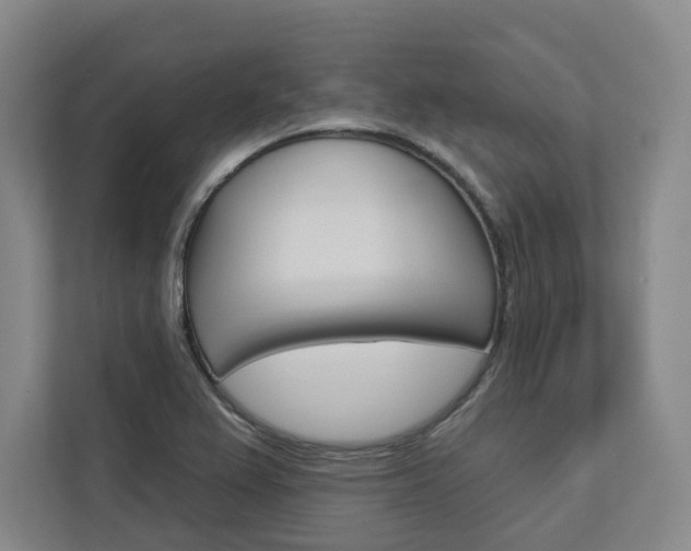 X0000113081367200908280939