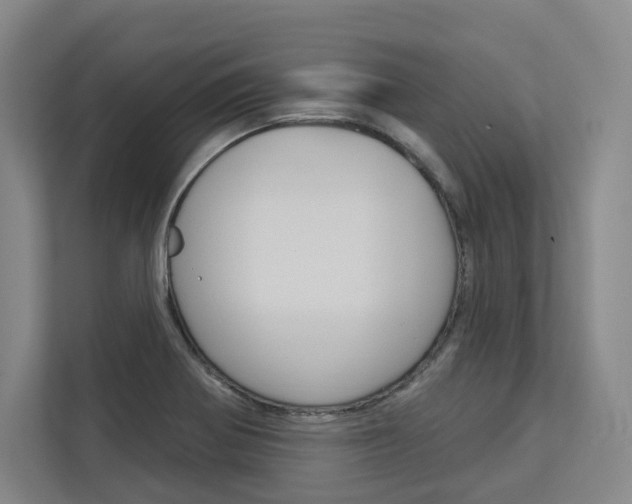 X0000113081370200908280939