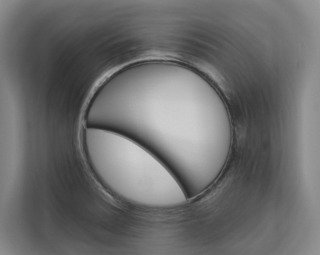X0000113081371200908280939