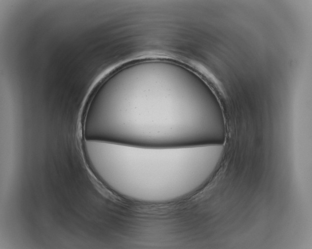 X0000113081372200908280939