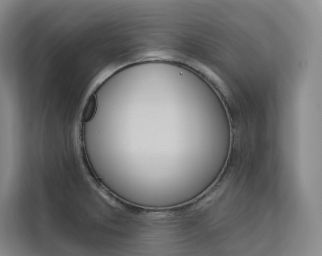X0000113081373200908280939