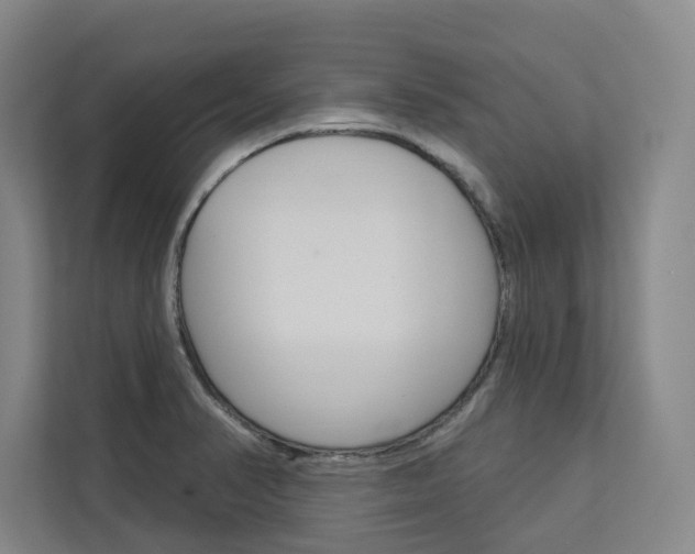 X0000113081374200908280938