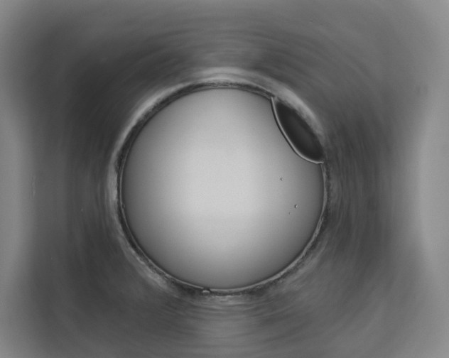 X0000113081376200908280938