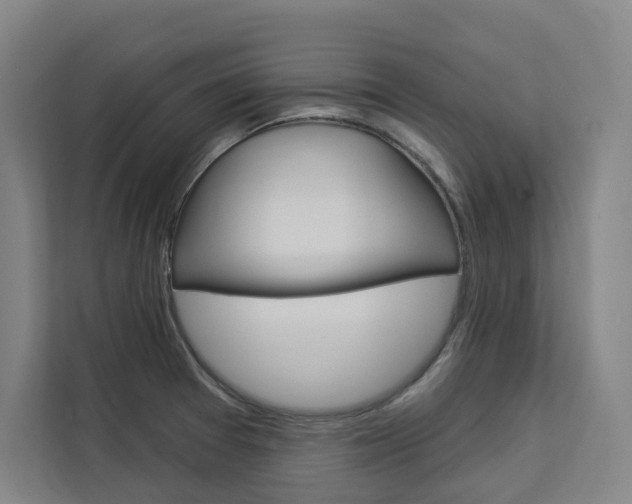 X0000113081377200908280938